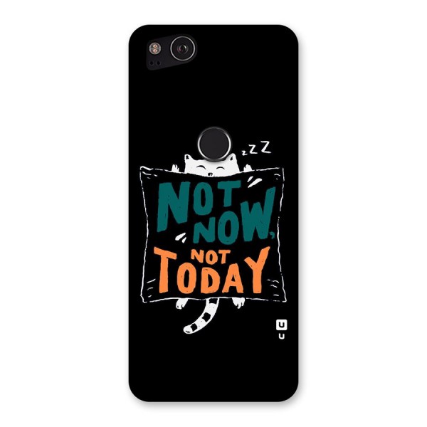 Lazy Cat Not Today Back Case for Google Pixel 2