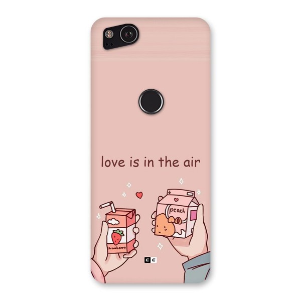 Love In Air Back Case for Google Pixel 2