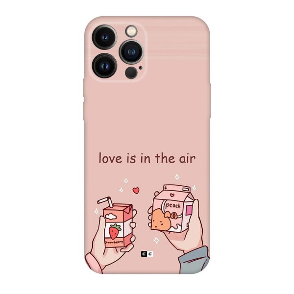 Love In Air Back Case for iPhone 13 Pro Max