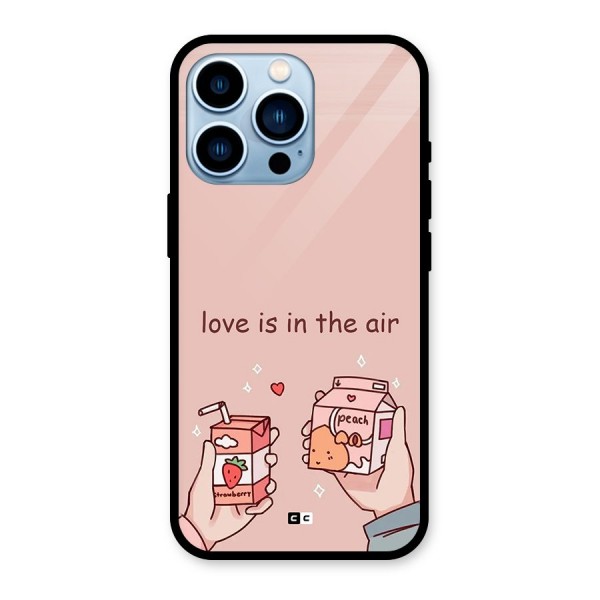 Love In Air Glass Back Case for iPhone 13 Pro