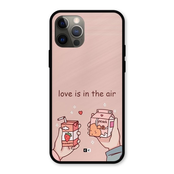 Love In Air Metal Back Case for iPhone 12 Pro