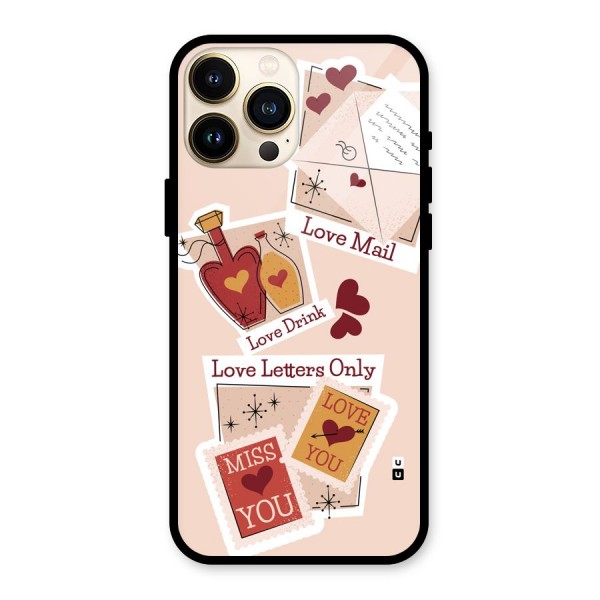 Love Language Glass Back Case for iPhone 13 Pro Max