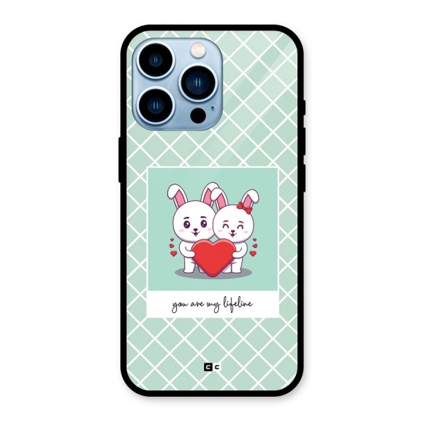 Love Lifeline Glass Back Case for iPhone 13 Pro