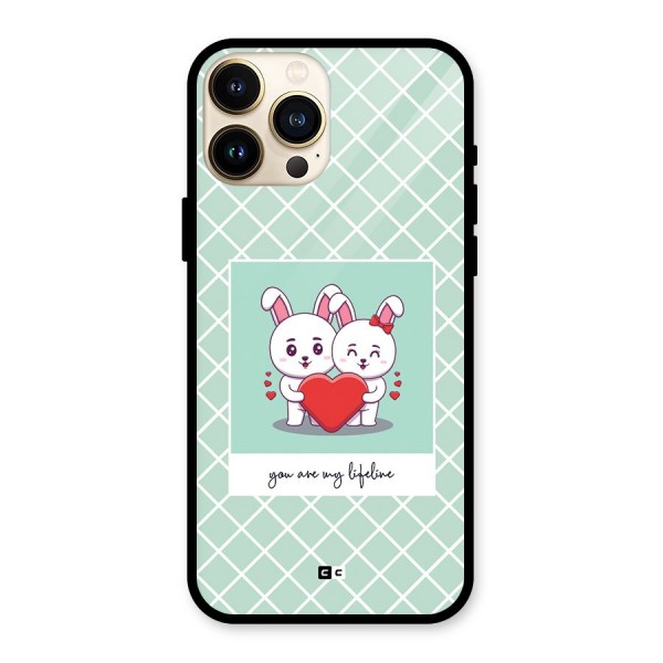 Love Lifeline Glass Back Case for iPhone 13 Pro Max