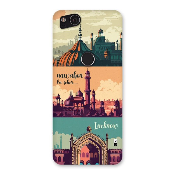 Lucknow City Back Case for Google Pixel 2