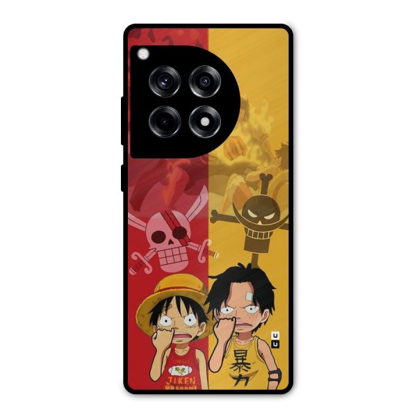 Luffy And Ace Metal Back Case for OnePlus 12R