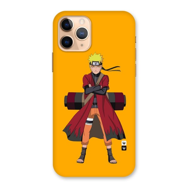 Naruto Uzumaki Art Back Case for iPhone 11 Pro