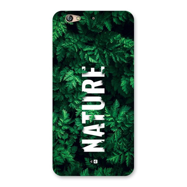 Nature Leaves Back Case for Gionee S6