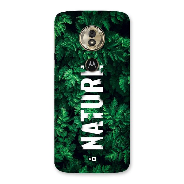 Nature Leaves Back Case for Moto G6 Play