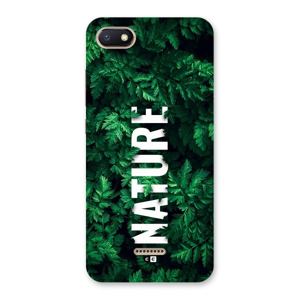 Nature Leaves Back Case for Redmi 6A