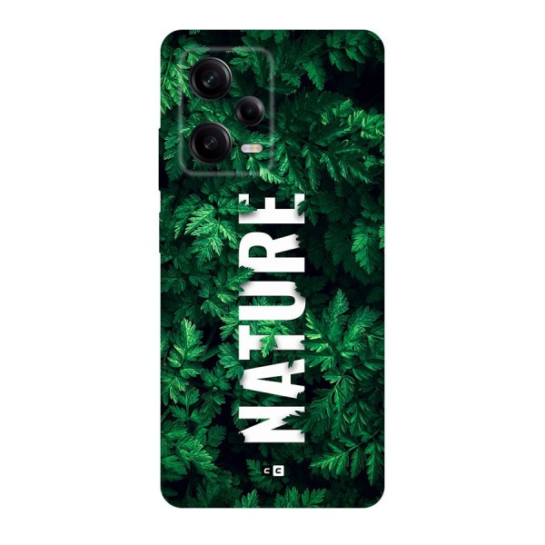 Nature Leaves Back Case for Redmi Note 12 Pro