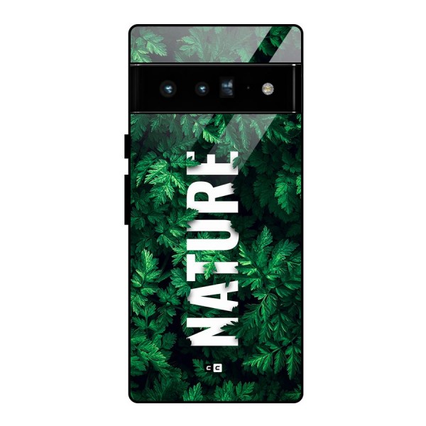 Nature Leaves Glass Back Case for Google Pixel 6 Pro