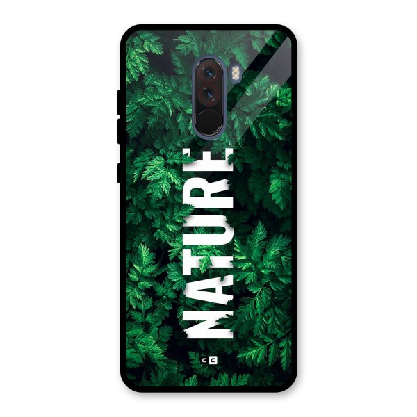 Nature Leaves Glass Back Case for Poco F1