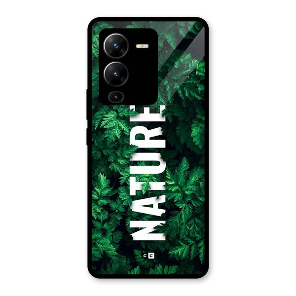 Nature Leaves Glass Back Case for Vivo V25 Pro