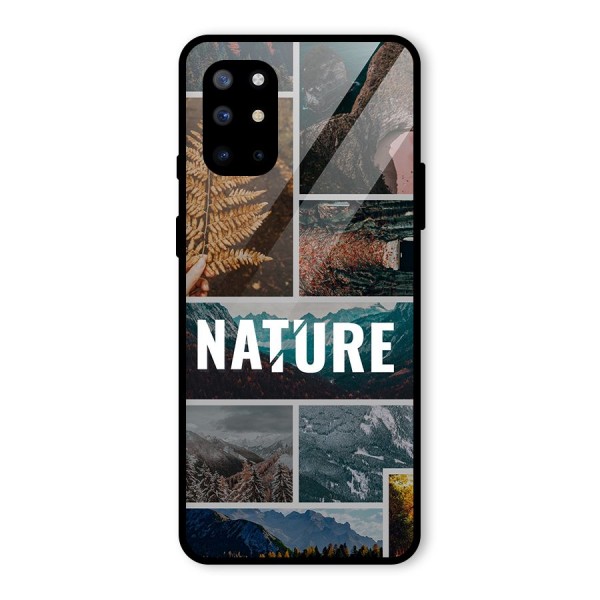 Nature Travel Glass Back Case for OnePlus 8T