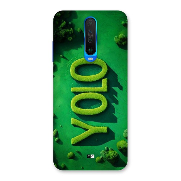 Nature Yolo Back Case for Poco X2