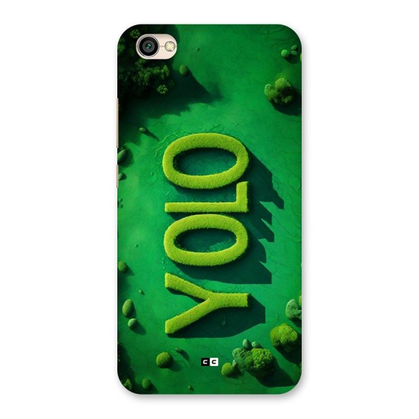 Nature Yolo Back Case for Redmi Y1 Lite