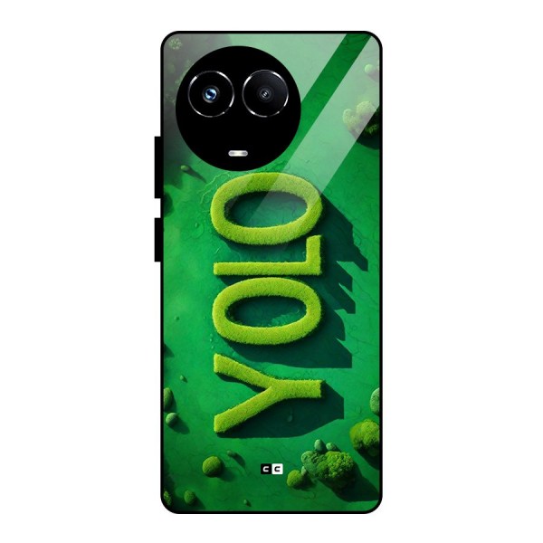 Nature Yolo Glass Back Case for Realme 11X