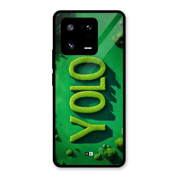 Nature Yolo Glass Back Case for Xiaomi 13 Pro