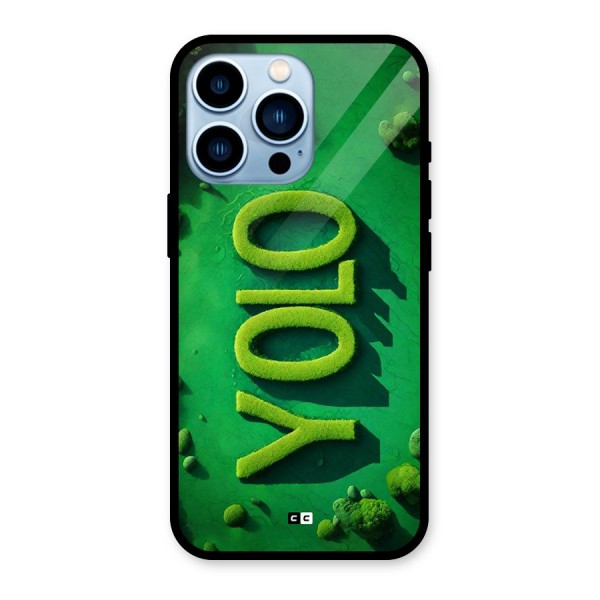 Nature Yolo Glass Back Case for iPhone 13 Pro