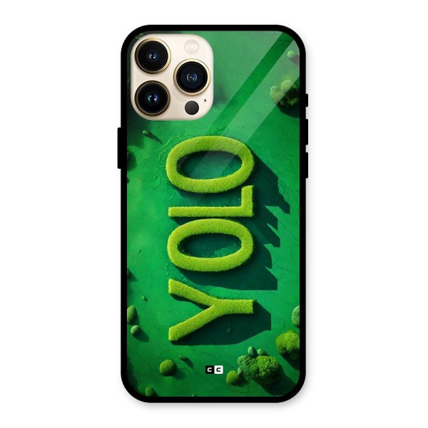 Nature Yolo Glass Back Case for iPhone 13 Pro Max