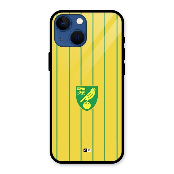 Norwich City Glass Back Case for iPhone 13 Mini