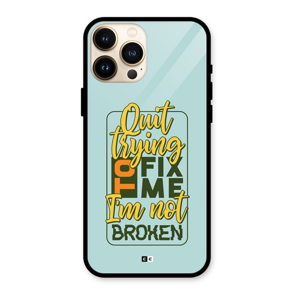 Not Broken Glass Back Case for iPhone 13 Pro Max