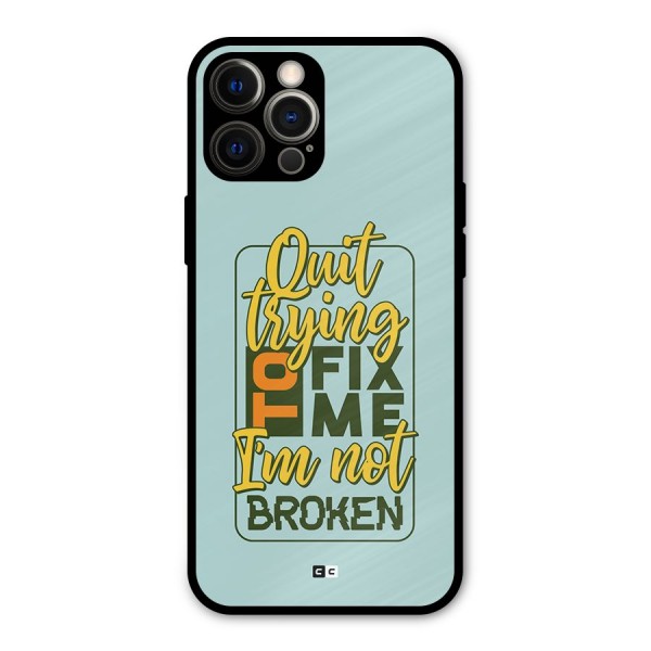 Not Broken Metal Back Case for iPhone 12 Pro Max