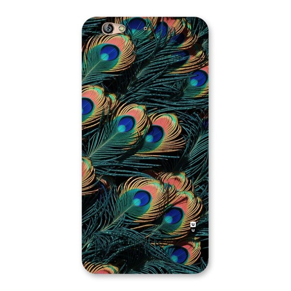 Peacock Feather Art Back Case for Gionee S6