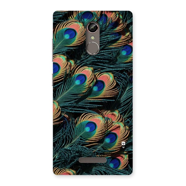 Peacock Feather Art Back Case for Gionee S6s