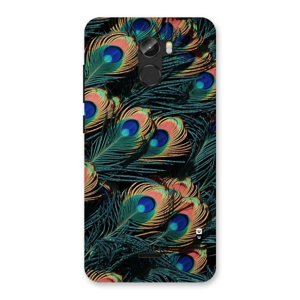 Peacock Feather Art Back Case for Gionee X1