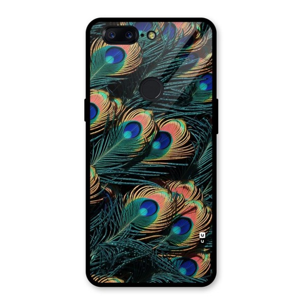 Peacock Feather Art Glass Back Case for OnePlus 5T