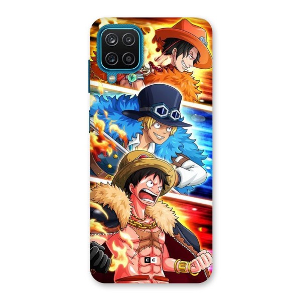 Pirate Brothers Back Case for Galaxy F12