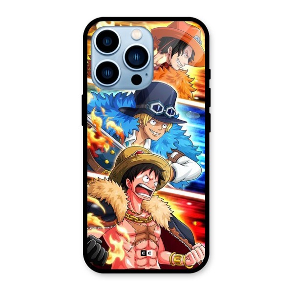 Pirate Brothers Glass Back Case for iPhone 13 Pro