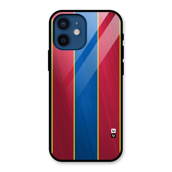 Premium Vertical Stripes Glass Back Case for iPhone 12 Mini