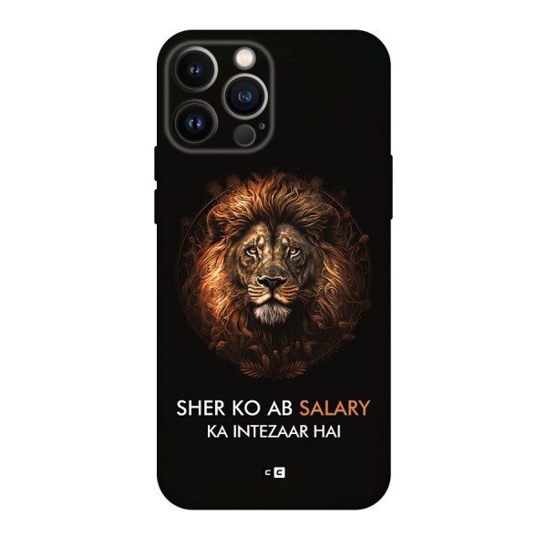 Sher On Salary Back Case for iPhone 13 Pro Max