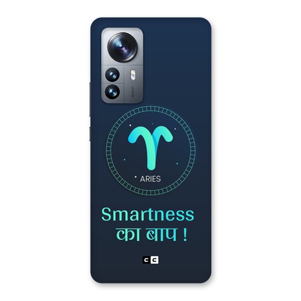 Smart Aries Back Case for Xiaomi 12 Pro