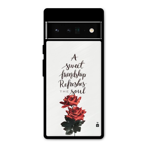 Sweet Friendship Metal Back Case for Google Pixel 6 Pro