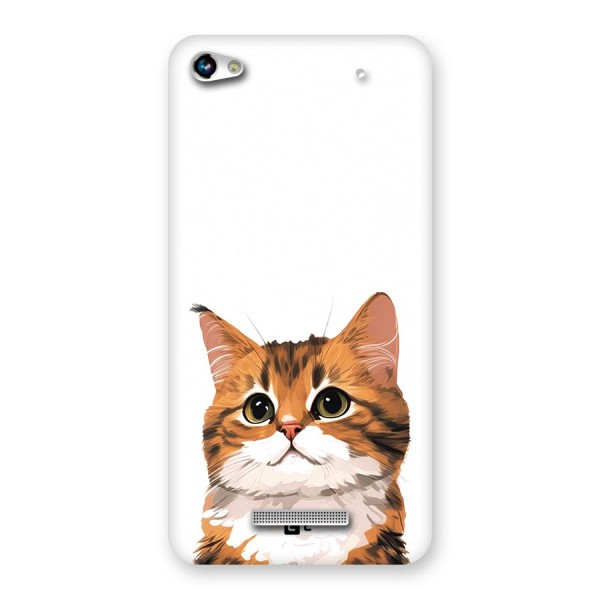 The Cute Cat Back Case for Canvas Hue 2 A316