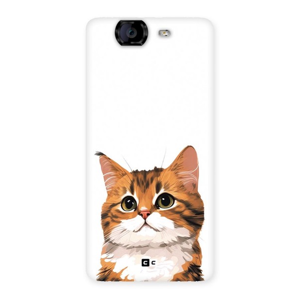 The Cute Cat Back Case for Canvas Knight A350