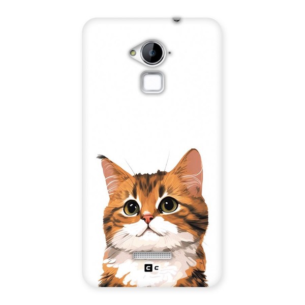 The Cute Cat Back Case for Coolpad Note 3