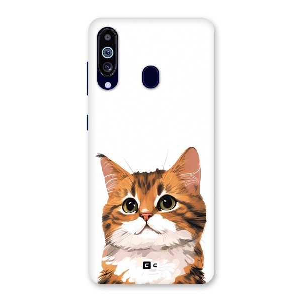 The Cute Cat Back Case for Galaxy A60