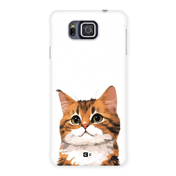 The Cute Cat Back Case for Galaxy Alpha