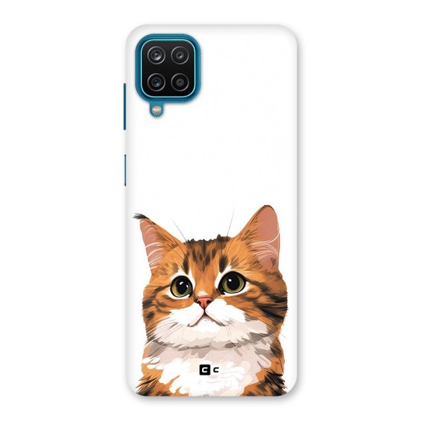 The Cute Cat Back Case for Galaxy F12