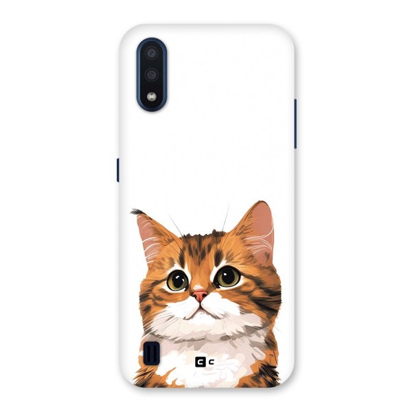 The Cute Cat Back Case for Galaxy M01