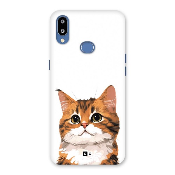 The Cute Cat Back Case for Galaxy M01s