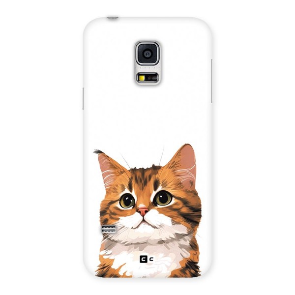 The Cute Cat Back Case for Galaxy S5 Mini