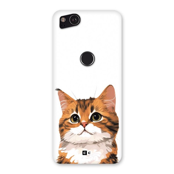 The Cute Cat Back Case for Google Pixel 2