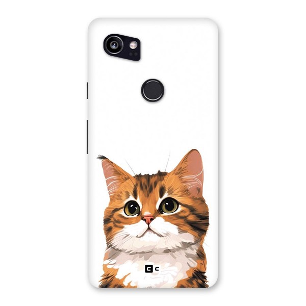 The Cute Cat Back Case for Google Pixel 2 XL