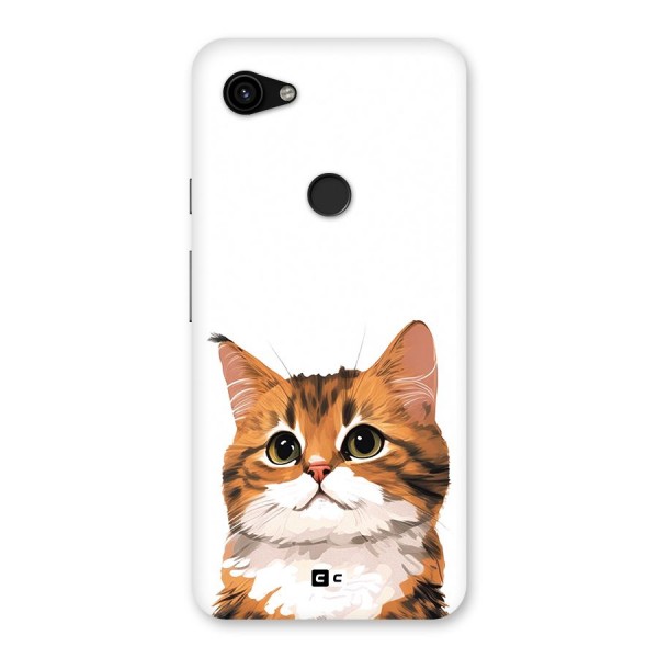 The Cute Cat Back Case for Google Pixel 3a XL